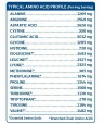 Sport Organic Plant-Based Protein - Čokoláda 840g.